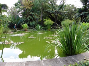The pond in the middle of the gardens          